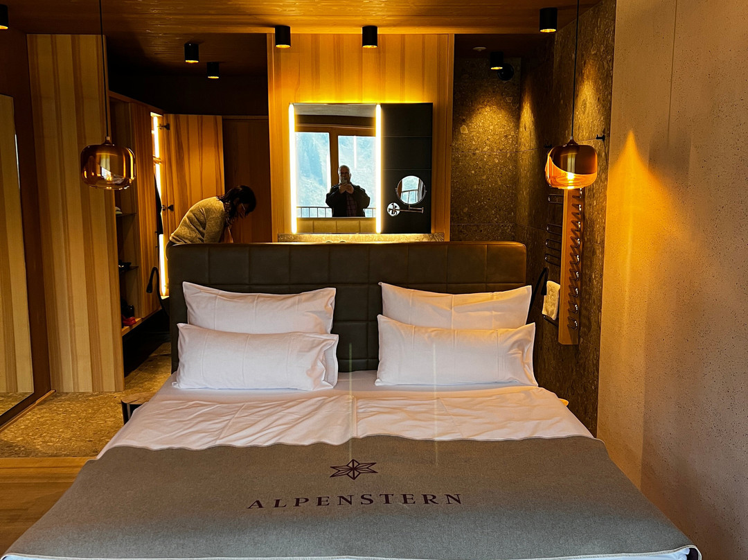 Alpenstern Panoramahotel主图