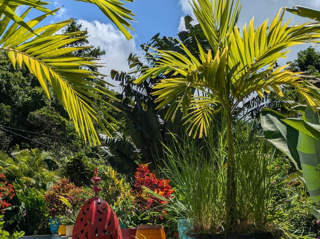 Habitation Getz主图