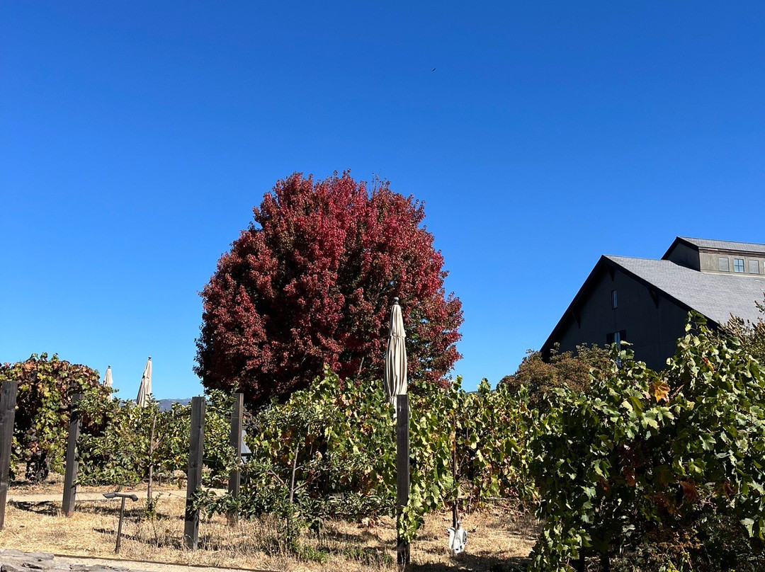 Abbot's Passage Winery and Mercantile景点图片