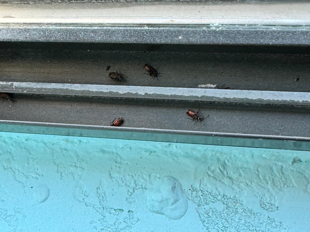 Quality Inn & Suites主图