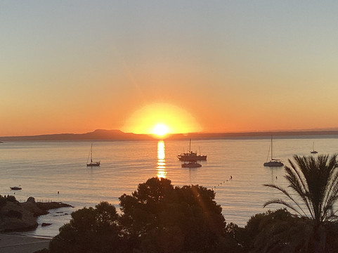 热带海滩住宿主图