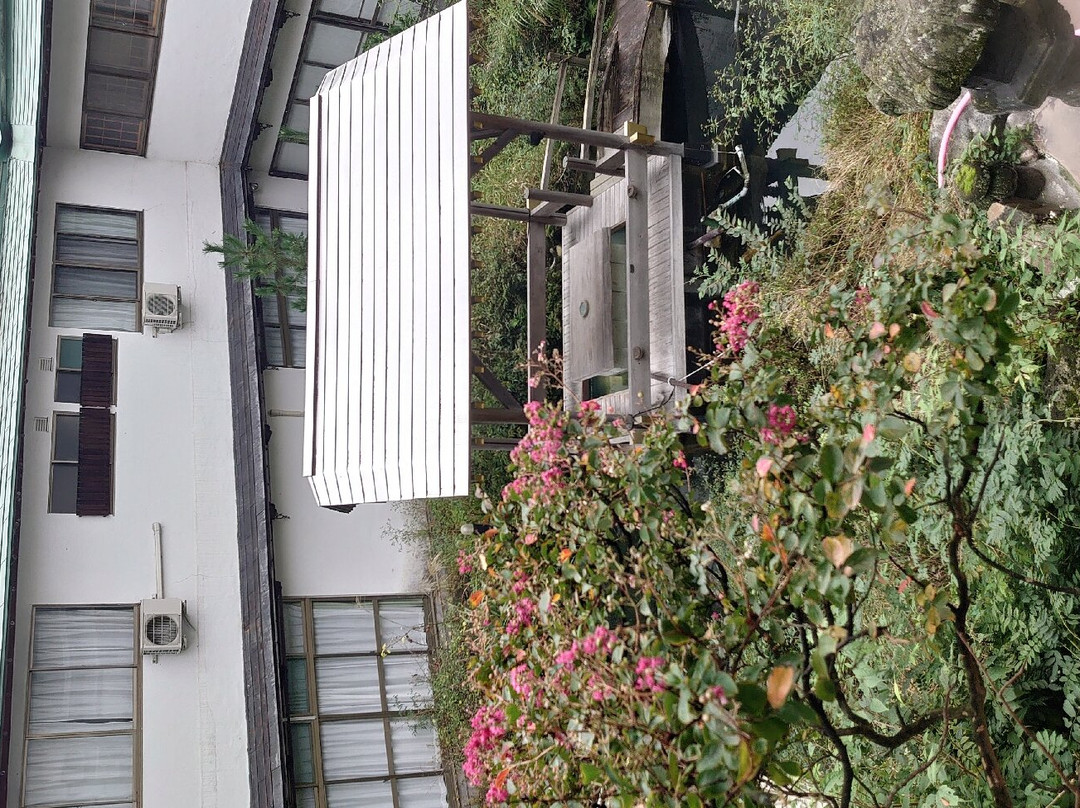 Sugawara主图