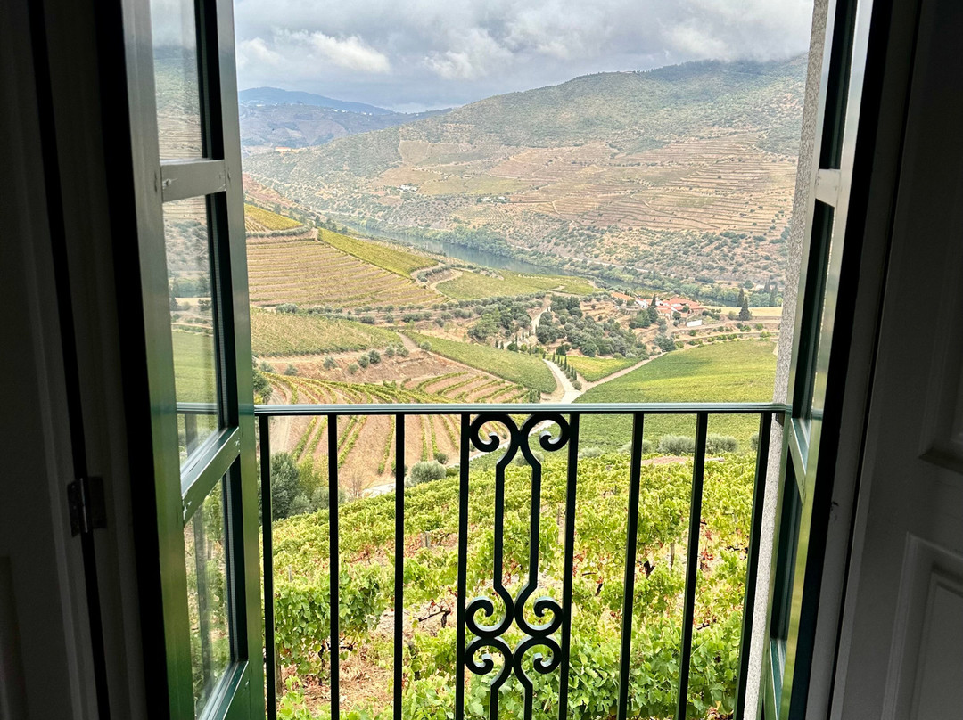 Gricha Vineyard House主图