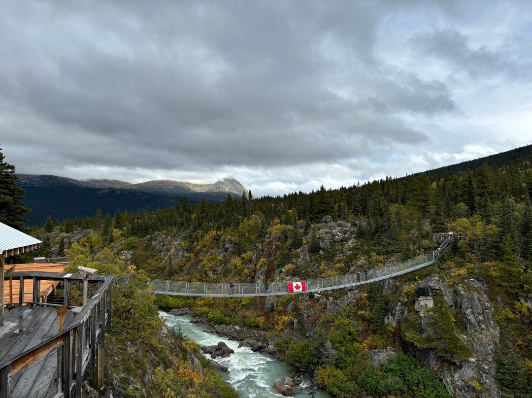 Yukon Suspension Bridge-白马市必去景点