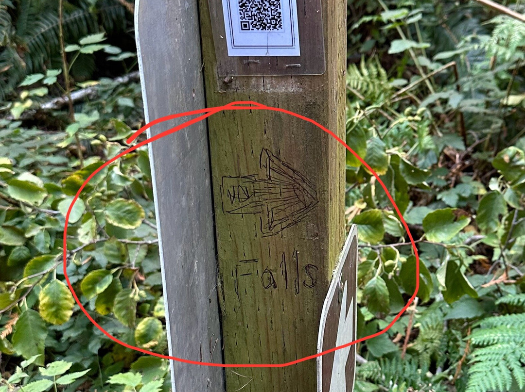 Ludlow Falls Interpretive Trail景点图片