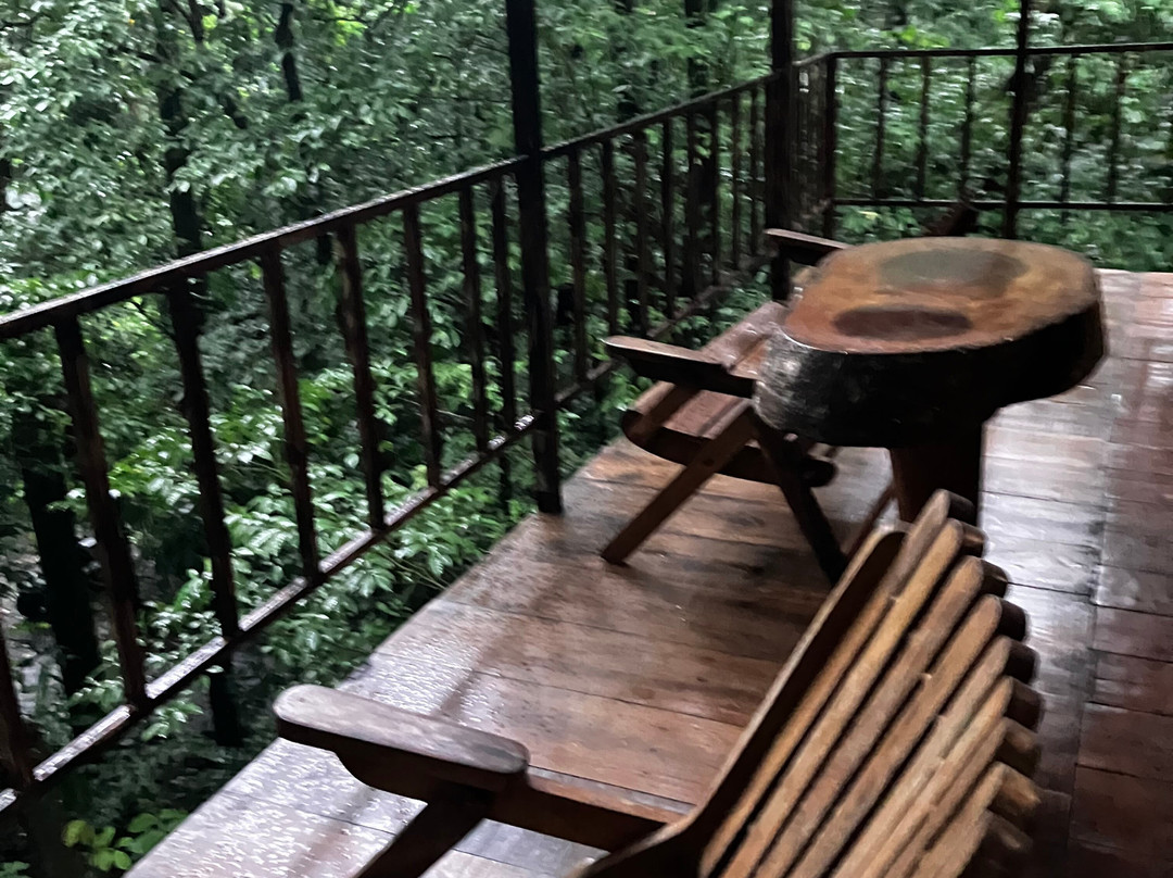Tree Houses Hotel Costa Rica主图