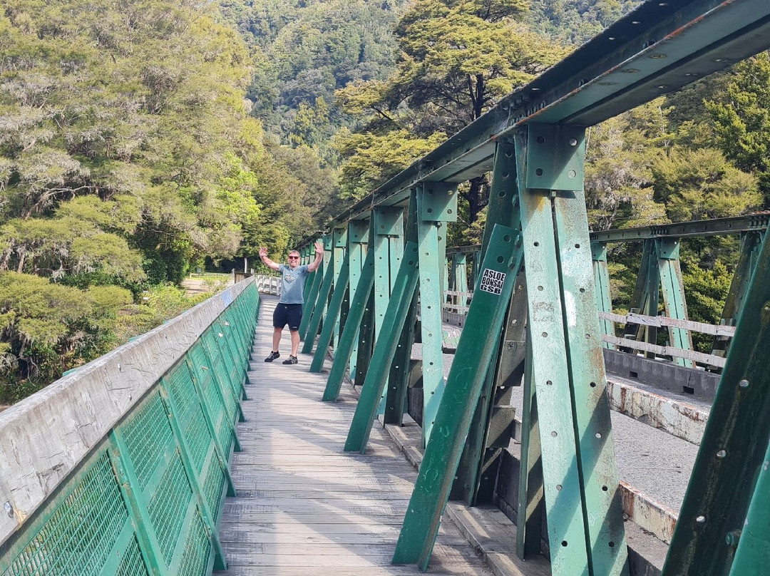 Pelorus Bridge Scenic Reserve景点图片