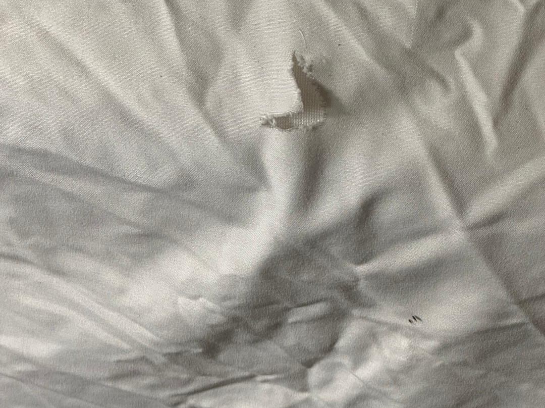 Ramada by Wyndham Strasburg主图