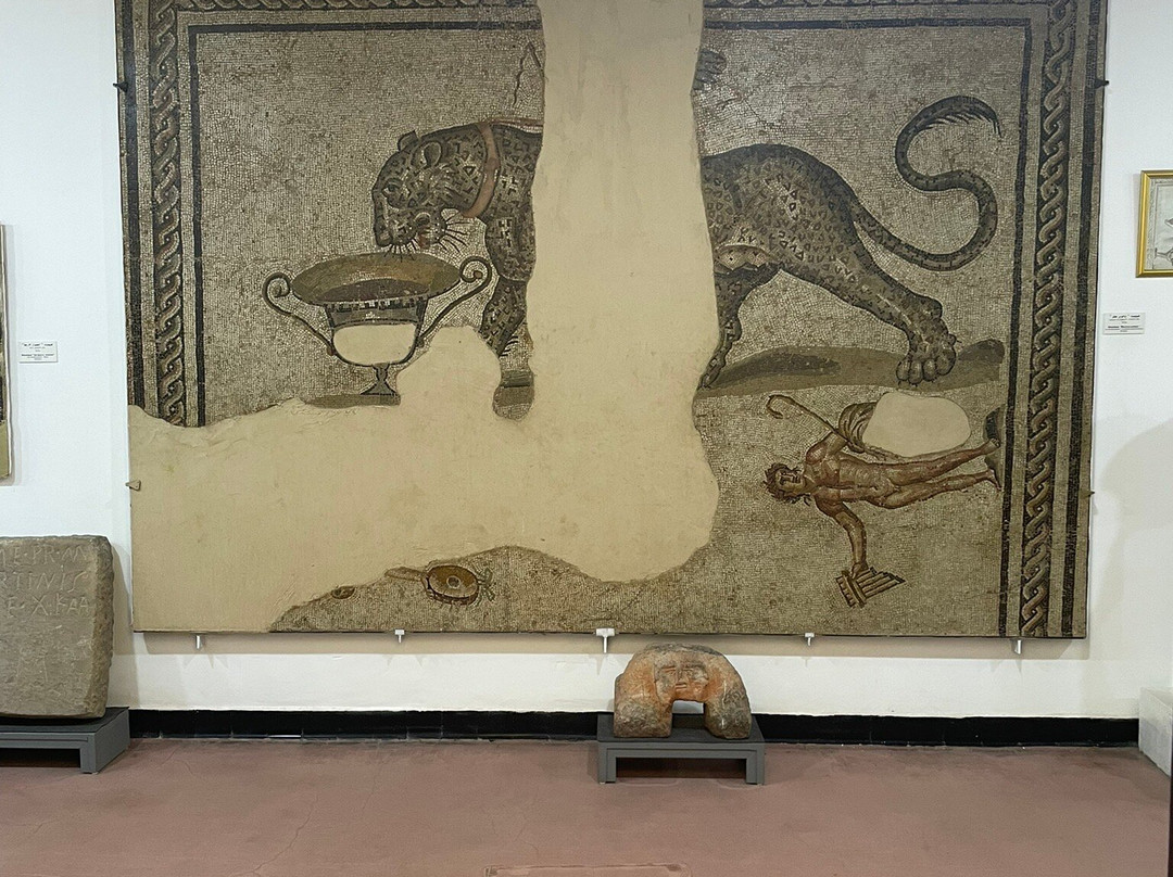 Musée National Cirta景点图片