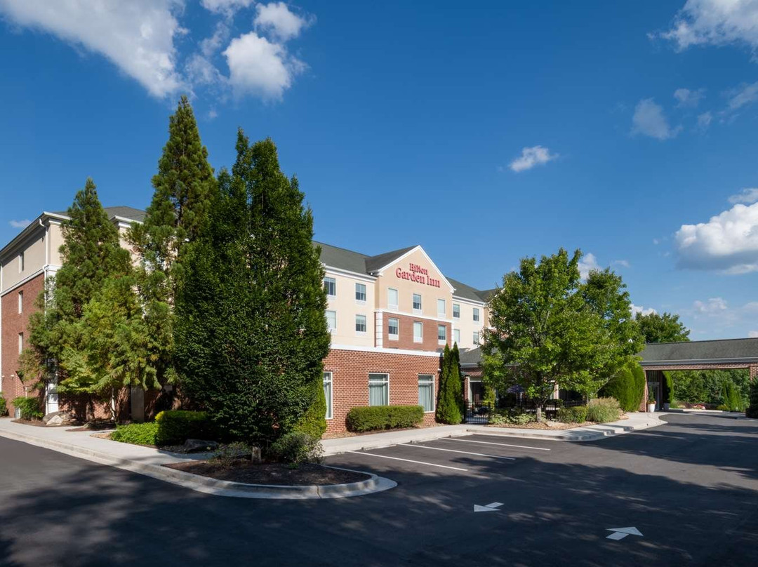 Senoia酒店住宿-Hilton Garden Inn Atlanta/peachtree City