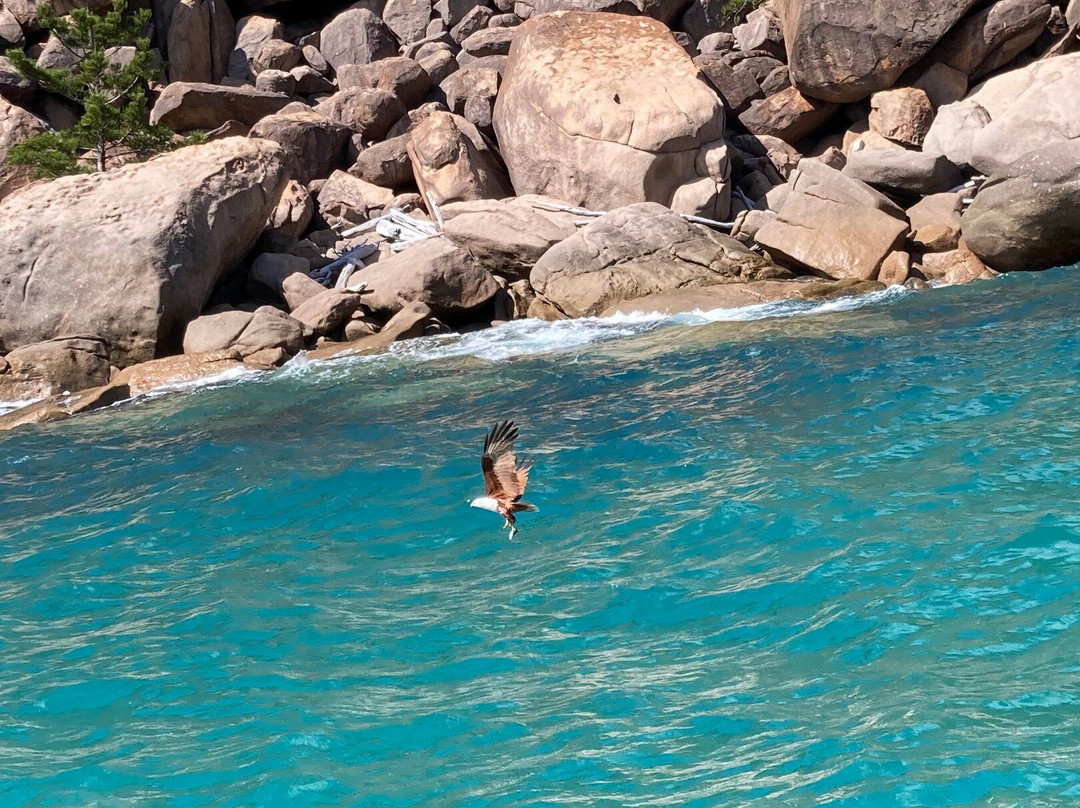 Aquascene Magnetic Island-Magnetic Island必去景点