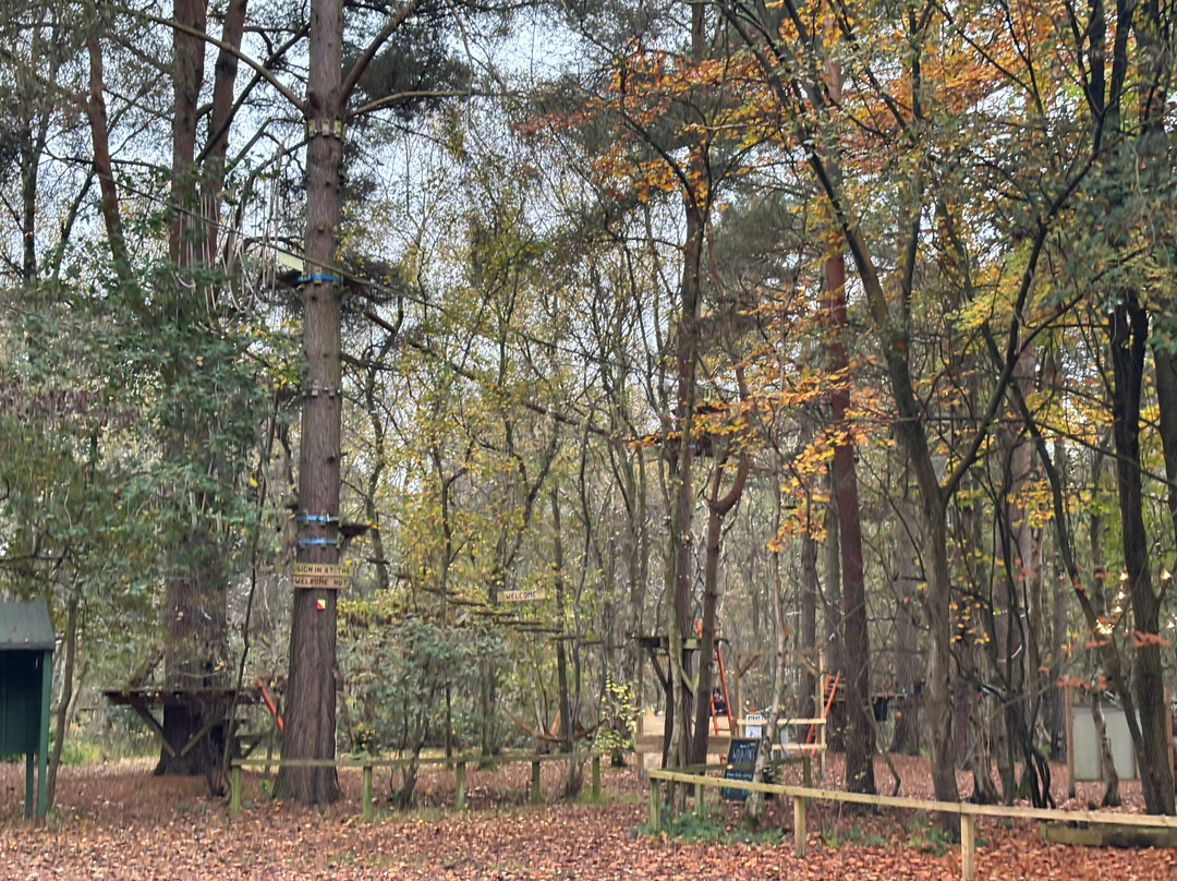 Wild Pines Park景点图片