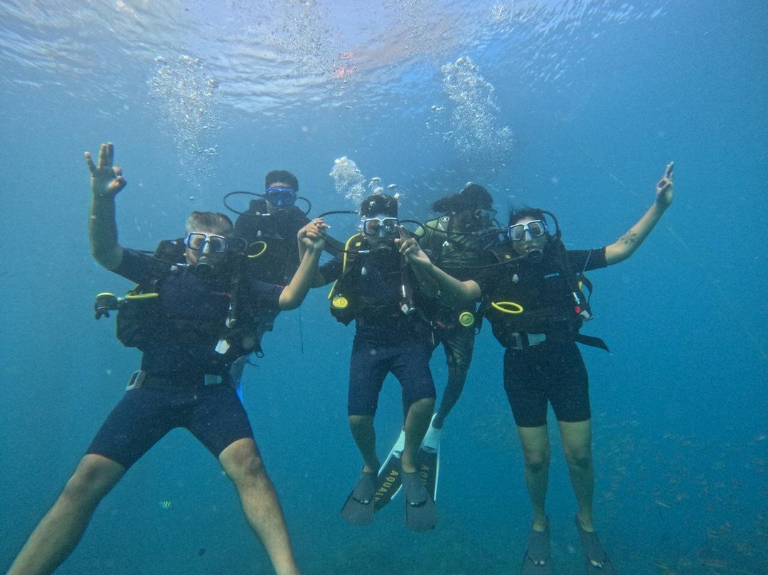 Dive Tribe景点图片