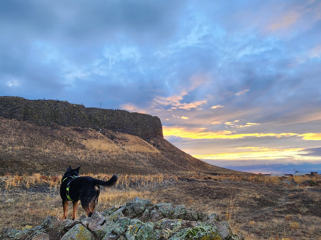 Oxford Suites Hermiston主图