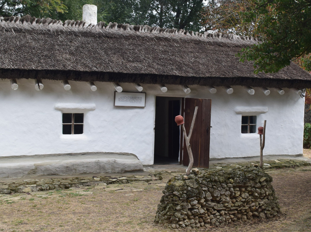 Lermontov House-Museum景点图片