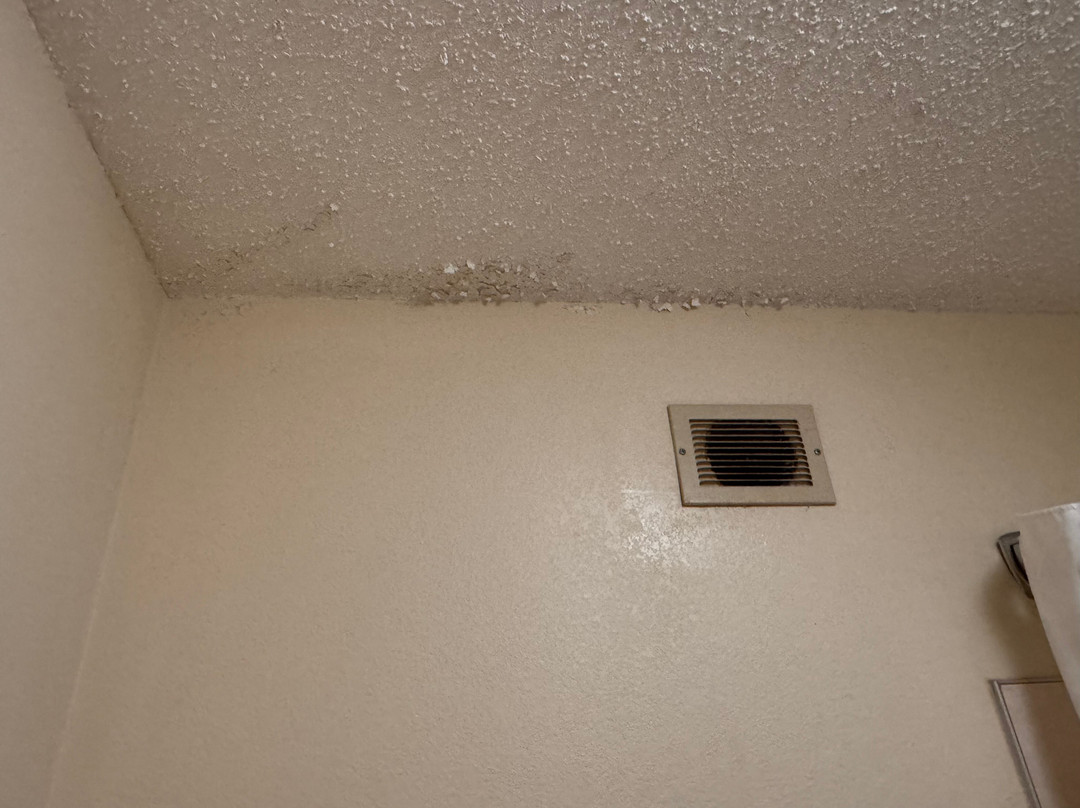 SureStay By Best Western Bowling Green North主图