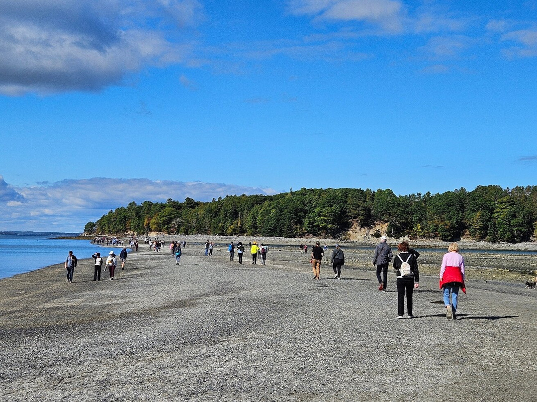 Bar Island Trail-巴港必去景点