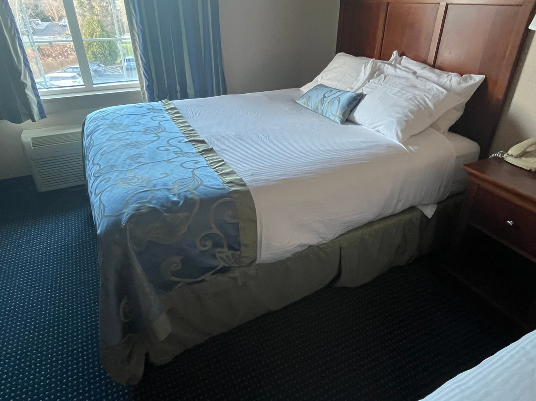 Wingate by Wyndham Ellicottville主图