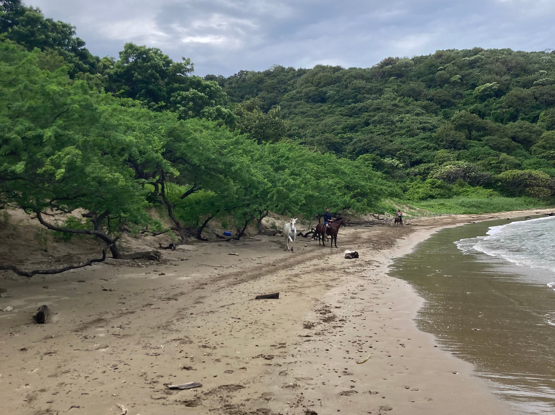Outdoor Adventures Discover Costa Rica景点图片