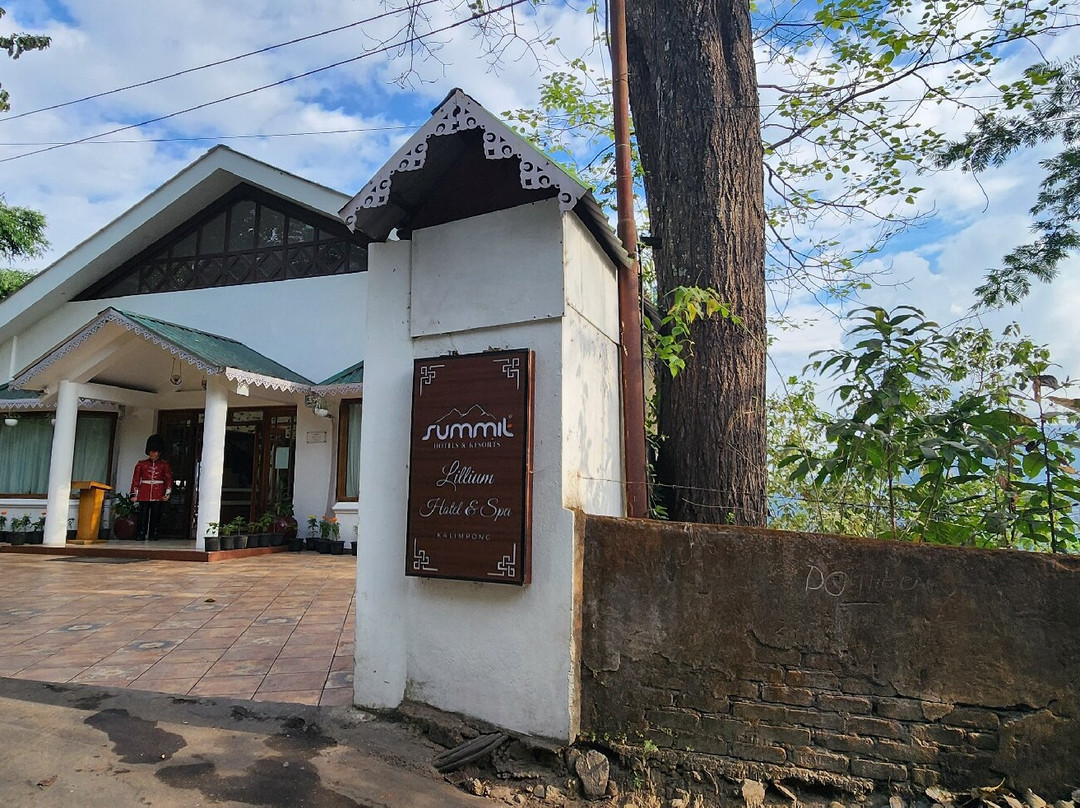 Summit Lillium Hotel & Spa主图