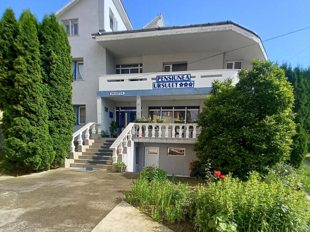 Pensiunea Ursulet