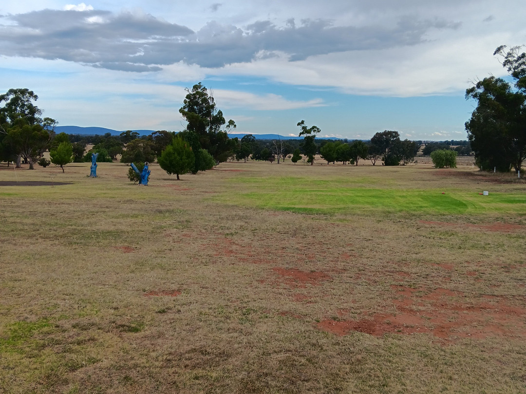 Oasis Motel Peak Hill主图