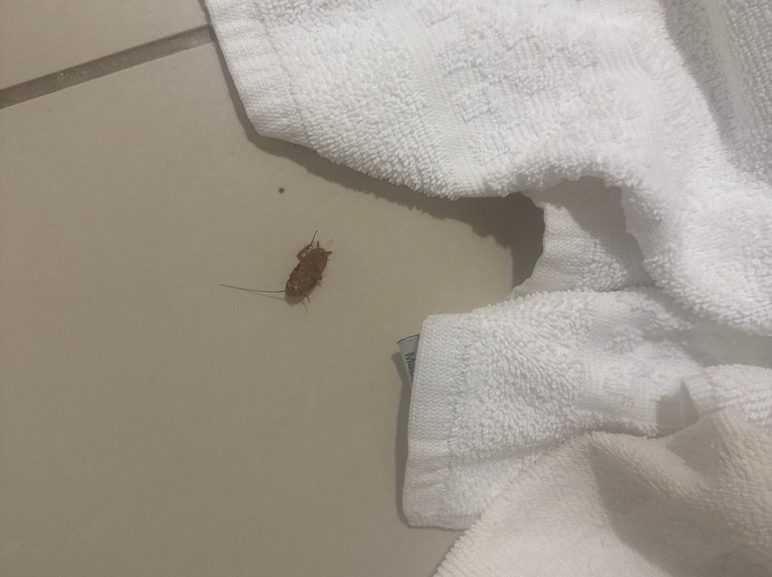 Residence Inn by Marriott Columbia Northwest/Harbison主图