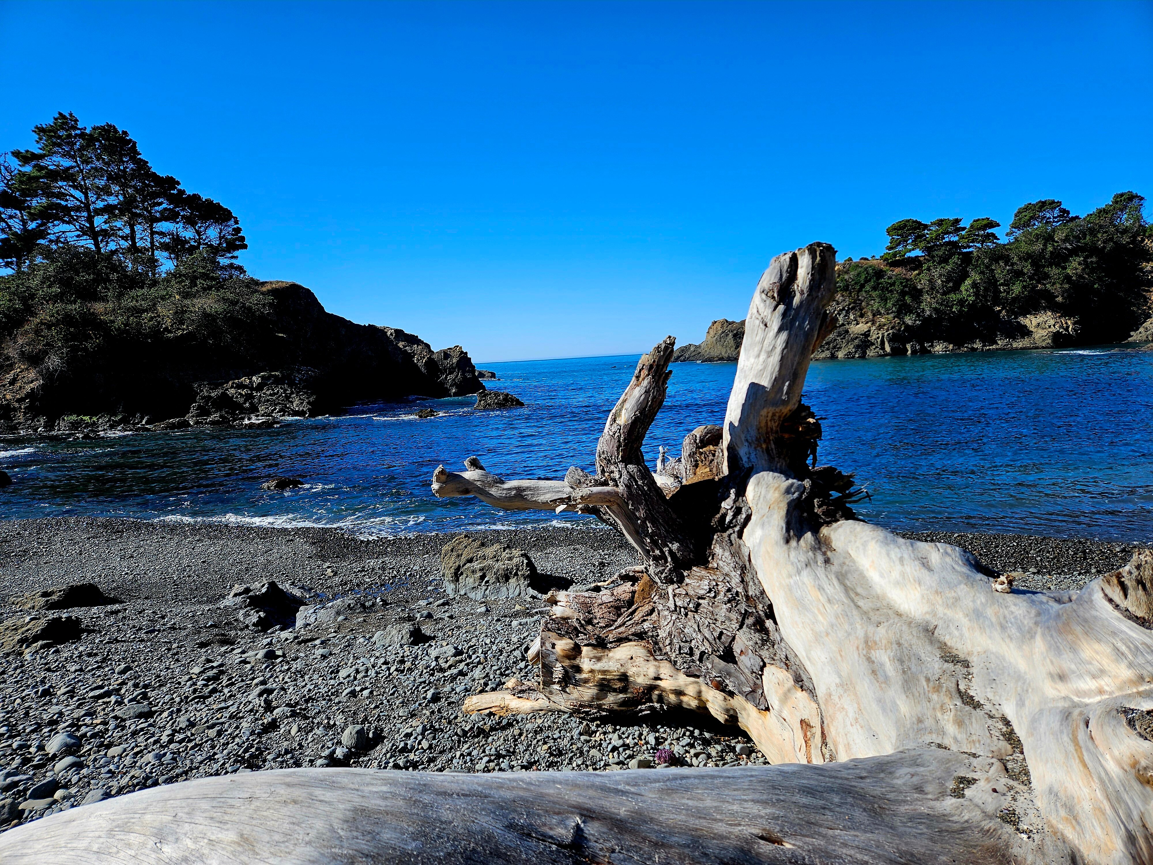 The Andiron -- Seaside Inn & Cabins-泳池