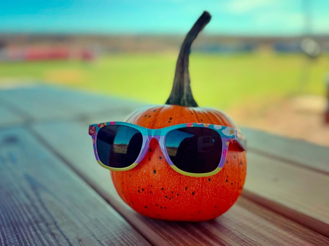 Kelder's Farm-Kerhonkson必去景点