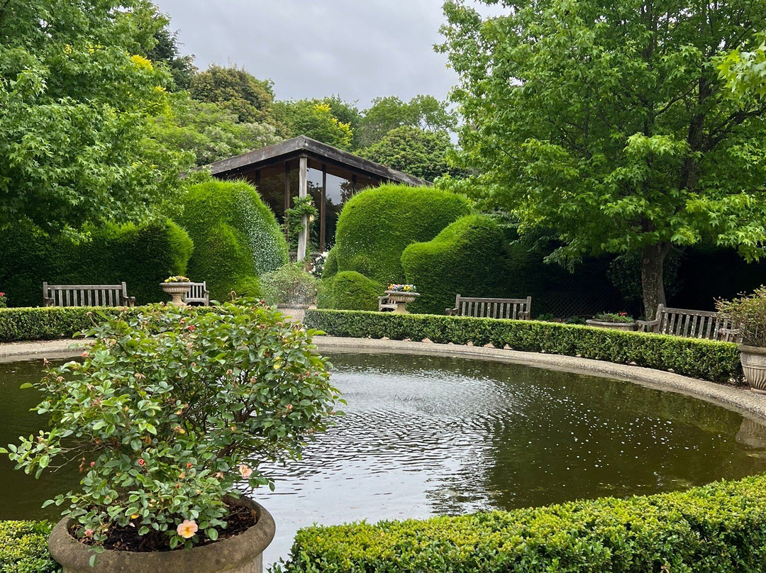 Ashcombe Maze & Lavender Garden景点图片
