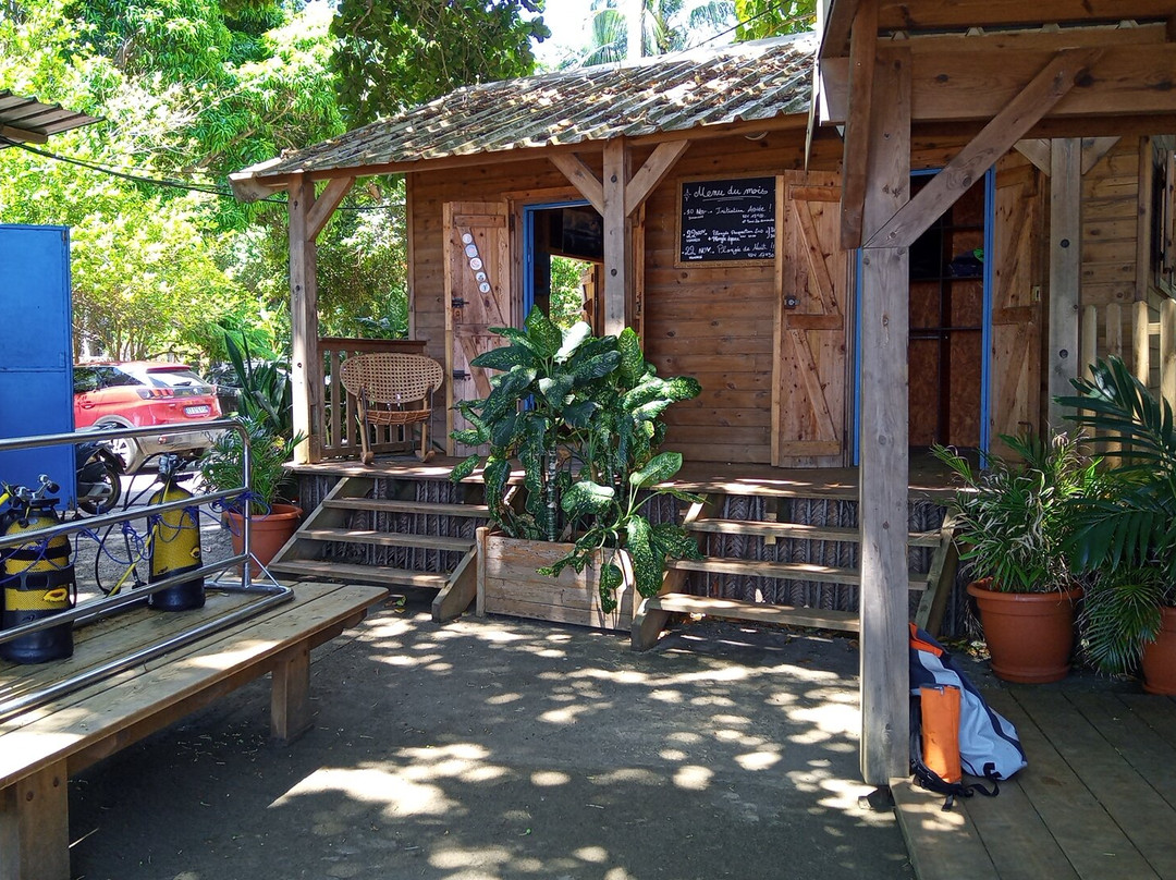 Abalone Plongée-Boueni必去景点