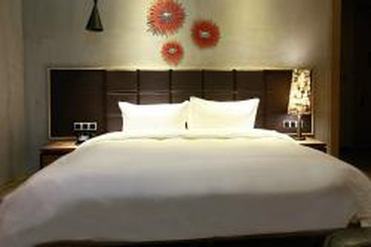 Time Tunnel Designer Hotel主图