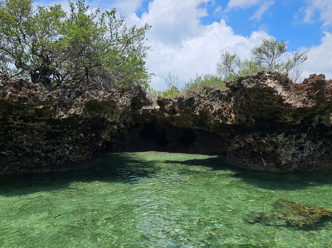 Zerozero sette Zanzibar-Pwani Mchangani必去景点