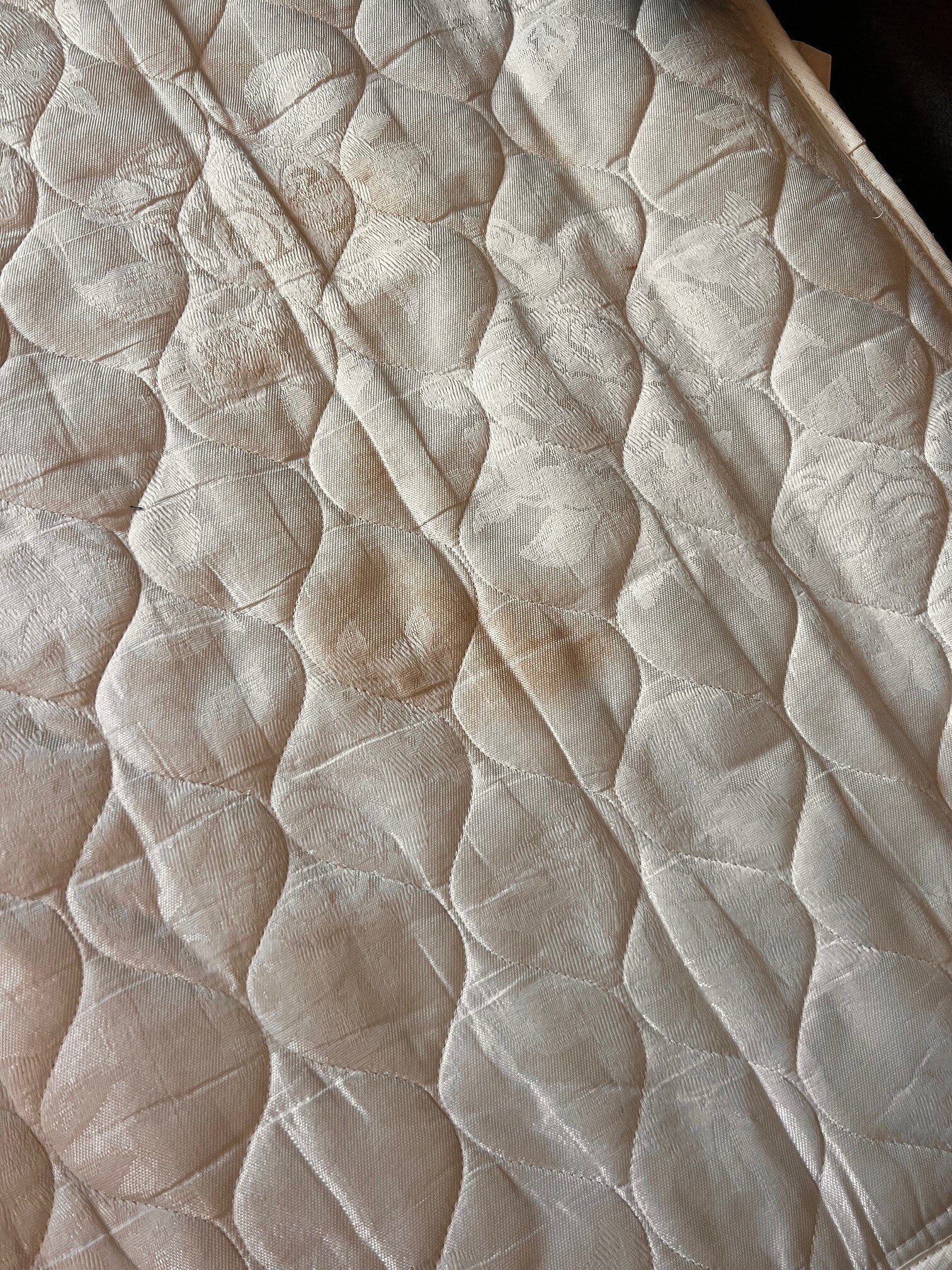 La Quinta Inn & Suites by Wyndham Houston - Magnolia-客卧