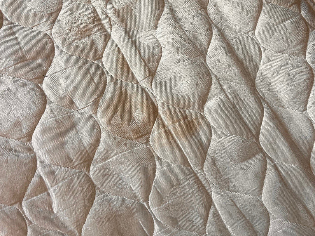 La Quinta Inn & Suites by Wyndham Houston - Magnolia主图