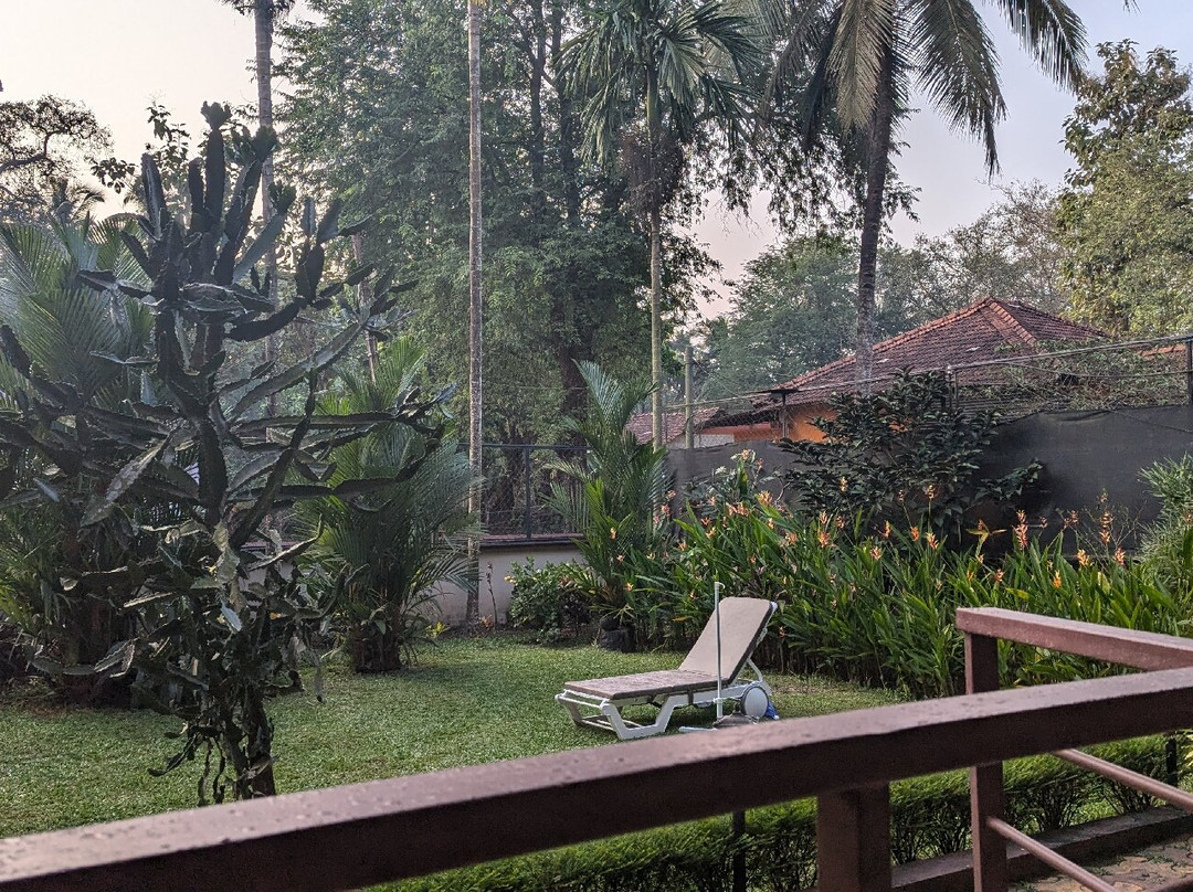 Lazy Frog Guest House主图