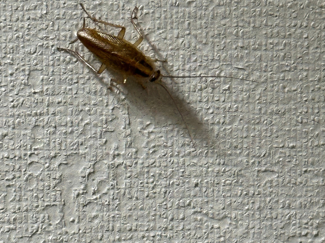 NavajoLand Inn主图