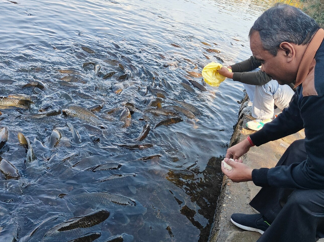 Mansar Lake-Mansar必去景点