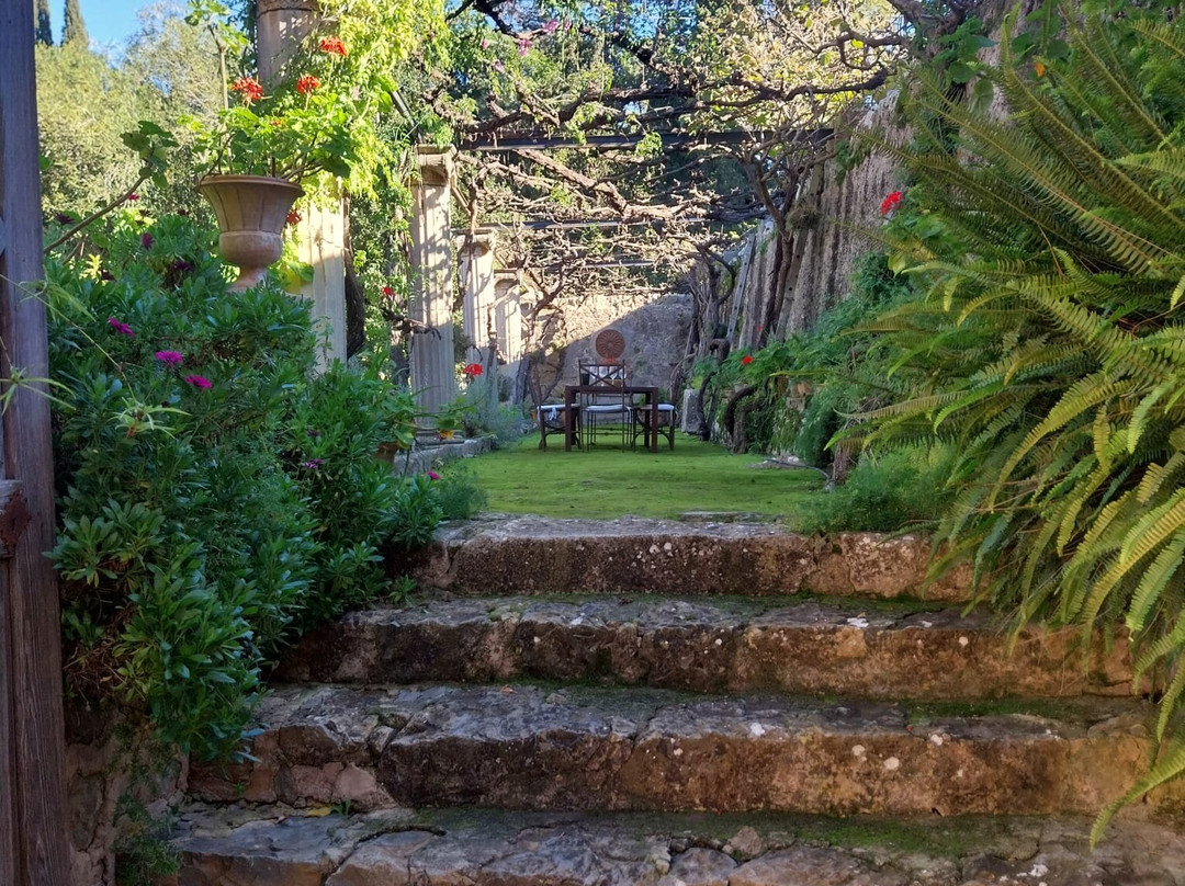 Bodega Son Puig-Puigpunyent必去景点
