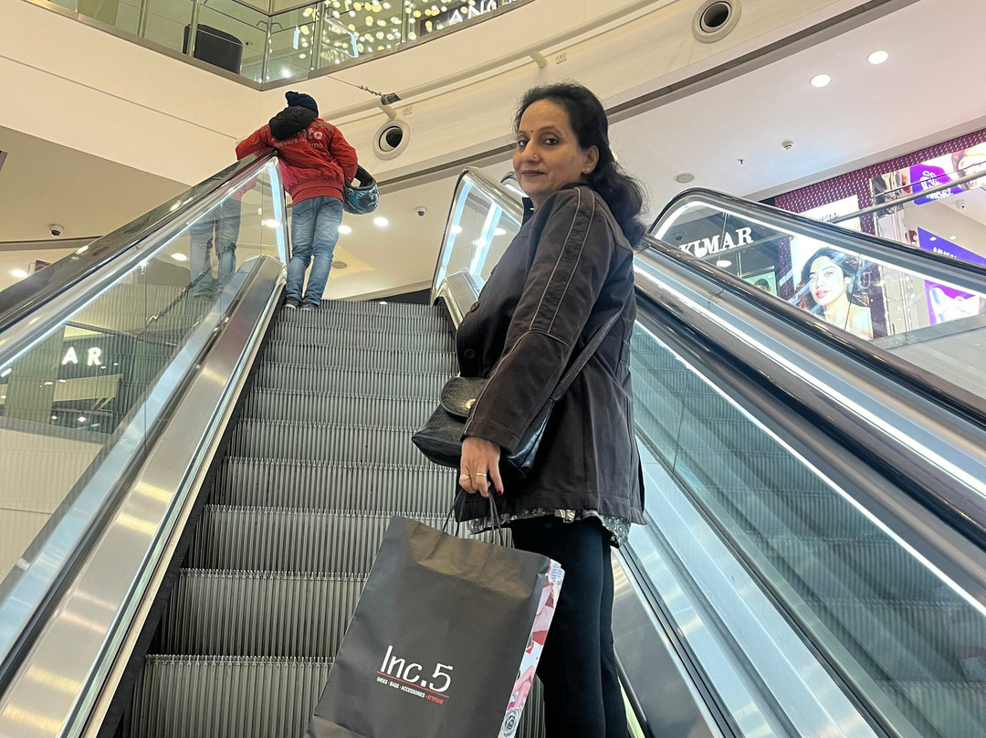 DLF Mall Of India景点图片
