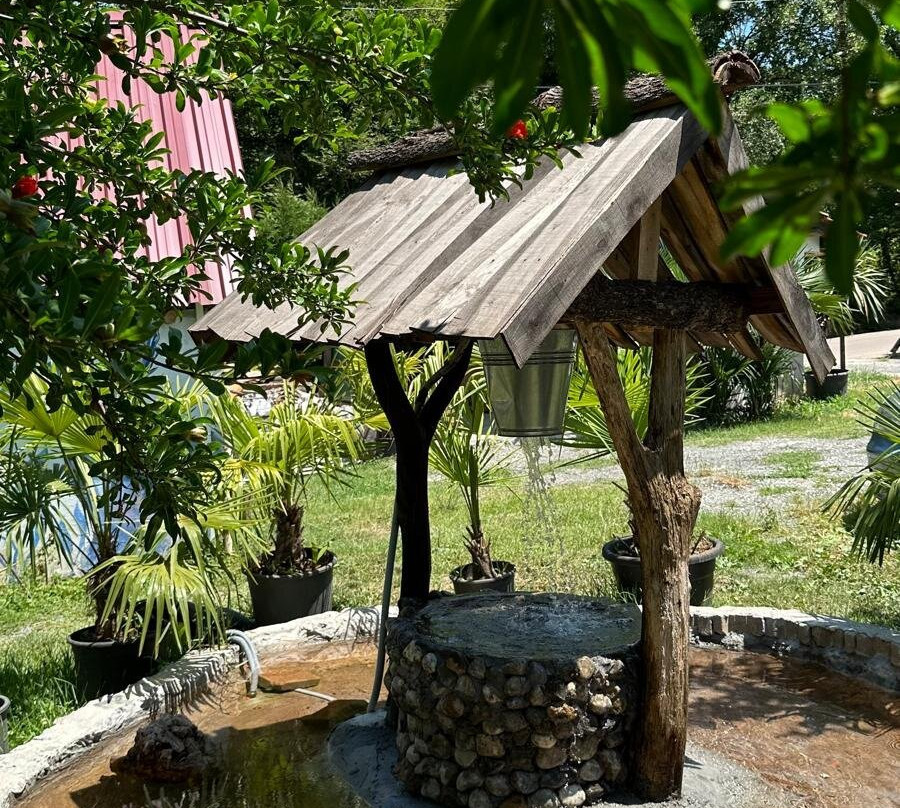 Kartepe Organik Ürünler | Kahvaltı | Izgara