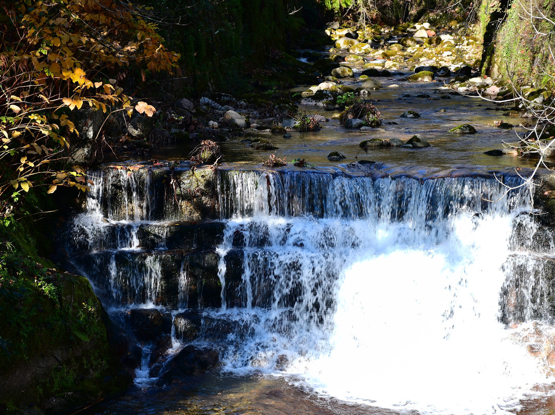 Águas do Gerês - Hotel, Termas & Spa主图