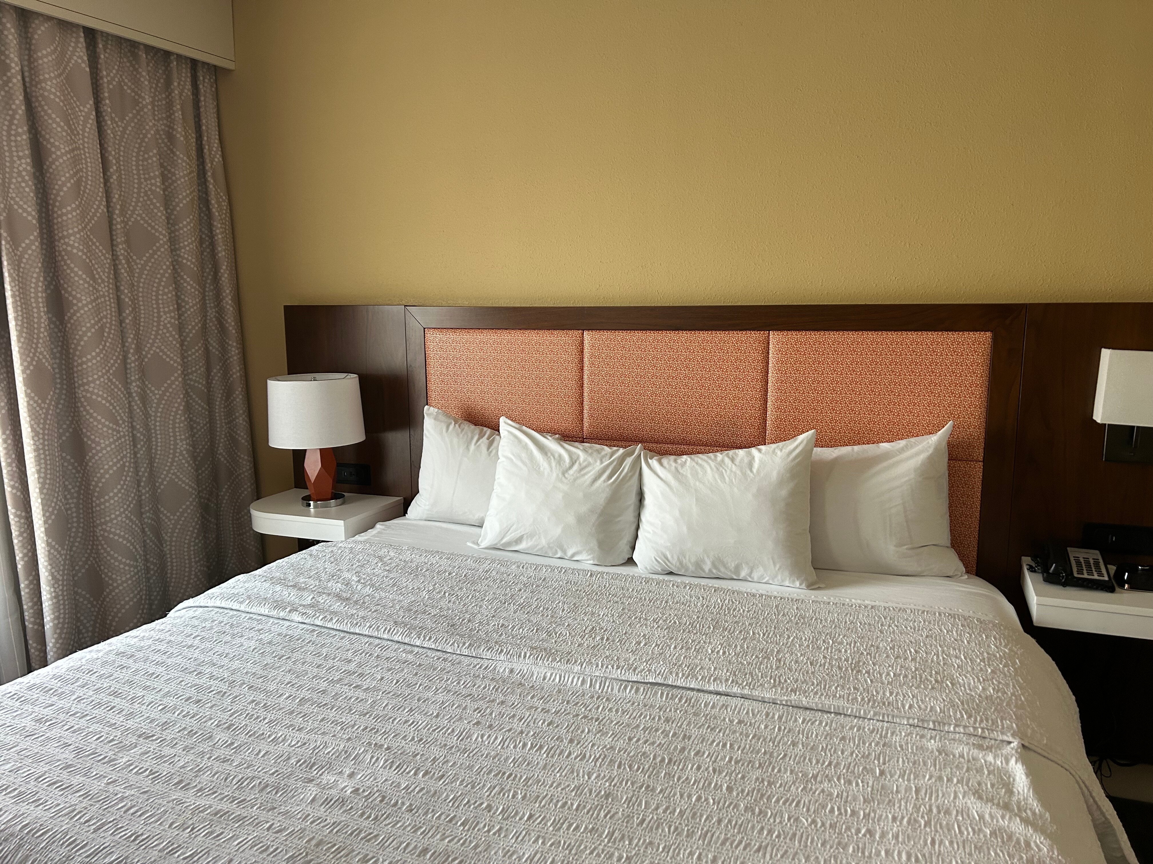 Hampton Inn & Suites Norfolk-Airport-客卧