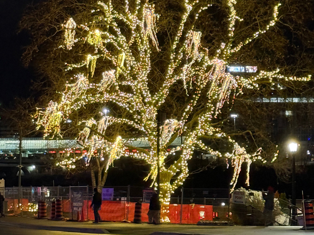 Holiday Inn Express Niagara-on-the-lake By IHG主图