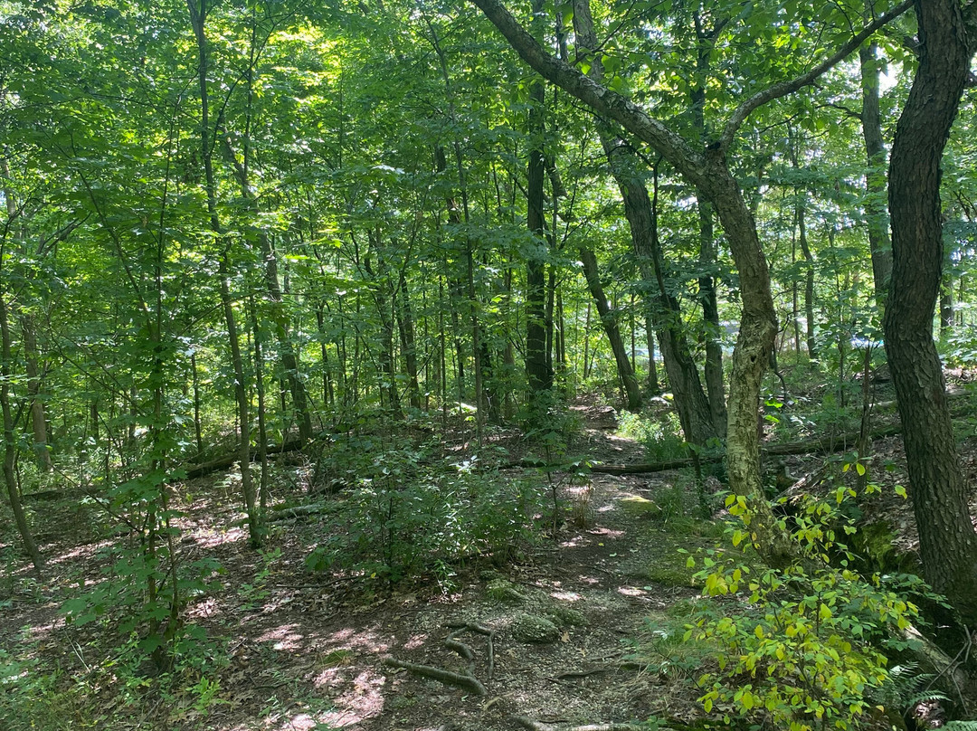 Nelson-Kennedy Ledges State Park-Nelson必去景点