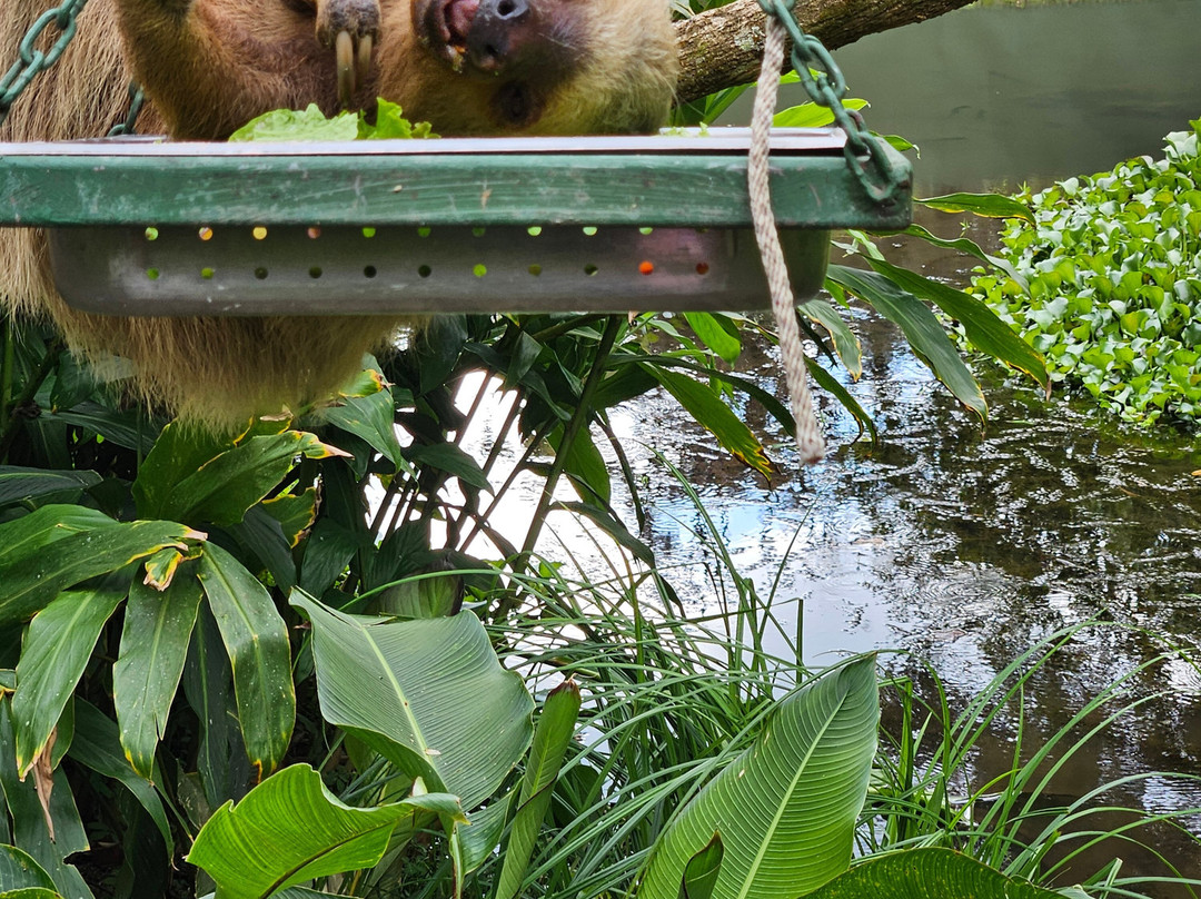 Aguti Monteverde - Wildlife Reserve-圣埃伦娜必去景点