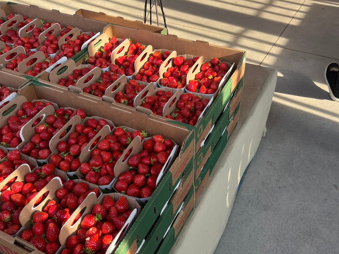Ferme Francois Gosselin-Saint-Laurent-de-l'Ile-d'Orleans必去景点
