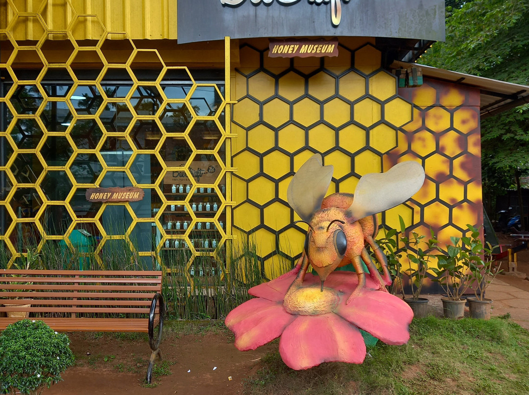 Beecraft Honey Museum-Kunnathidavaka必去景点
