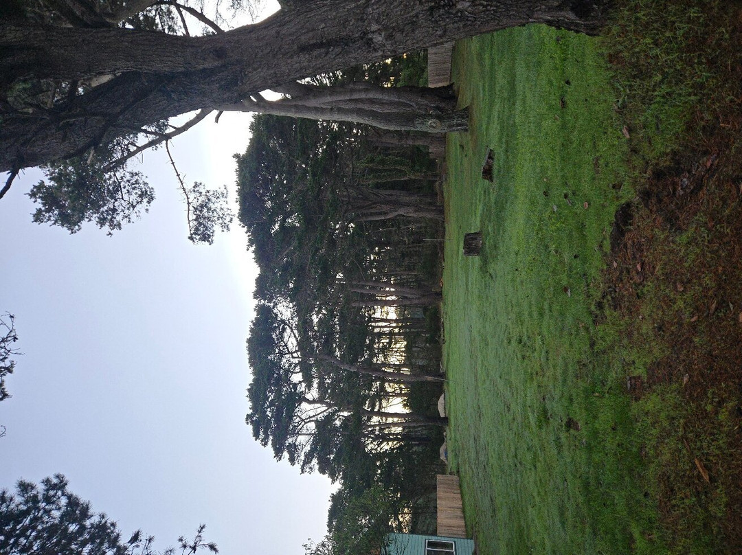 Best Western Vista Manor Lodge主图