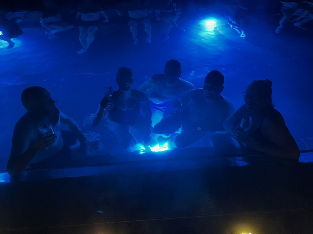 Djuronaset Spa, Hotel & Conference主图